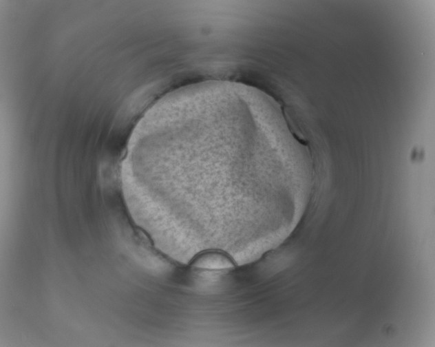 X0000110940432200907022137