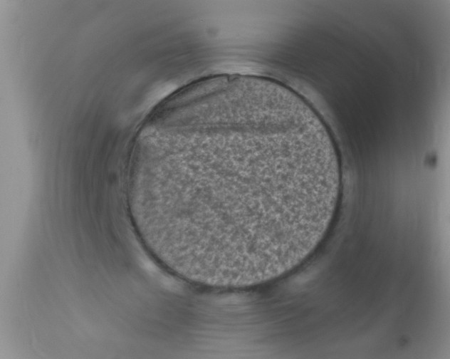 X0000110940433200907022136