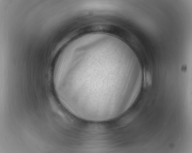 X0000110940435200907022136