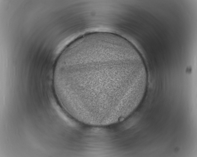 X0000110940437200907022136