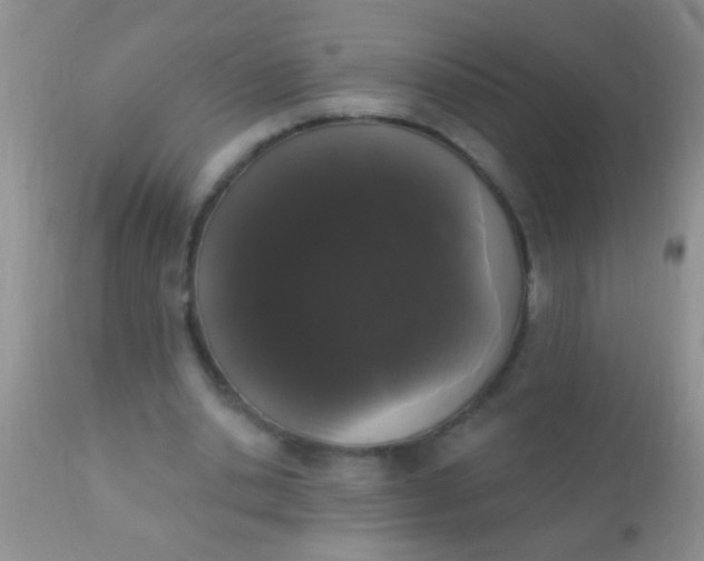 X0000110940438200907022137