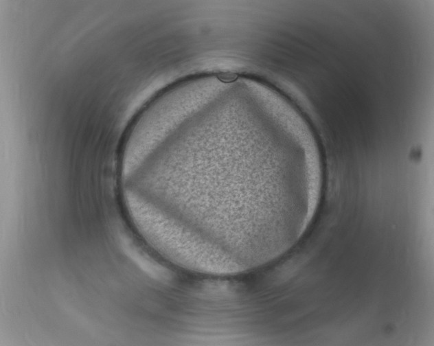 X0000110940439200907022137