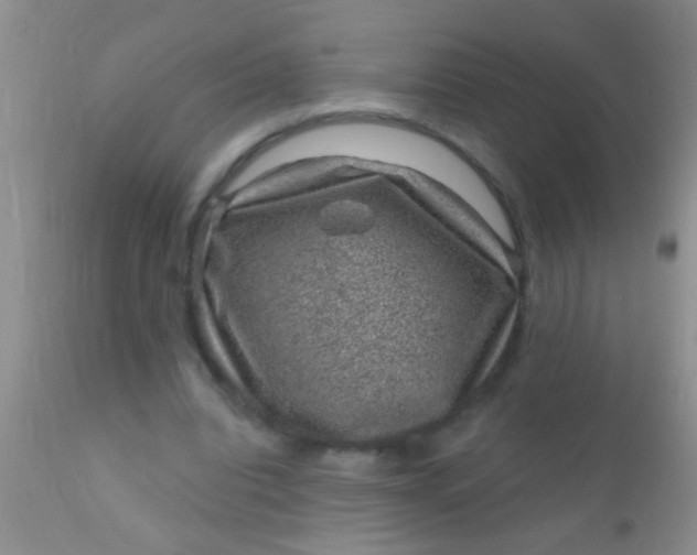 X0000110940440200907022137