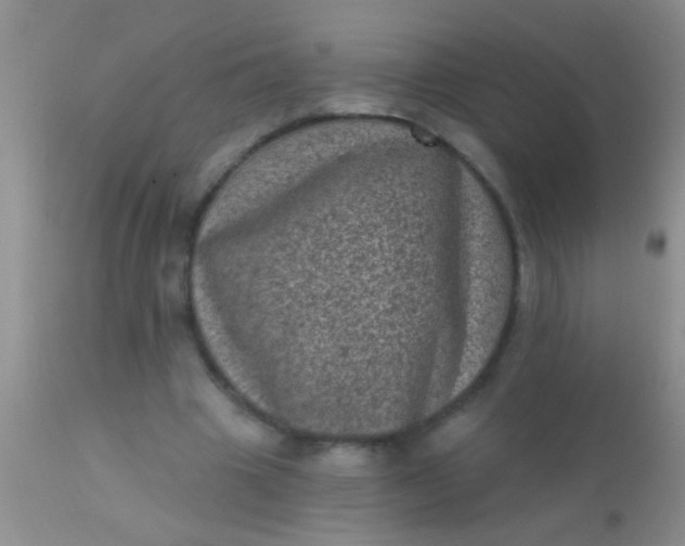 X0000110940441200907022137