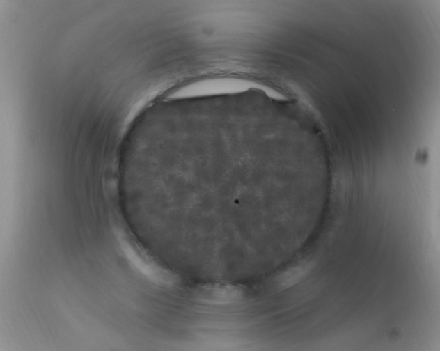 X0000110940443200907022137