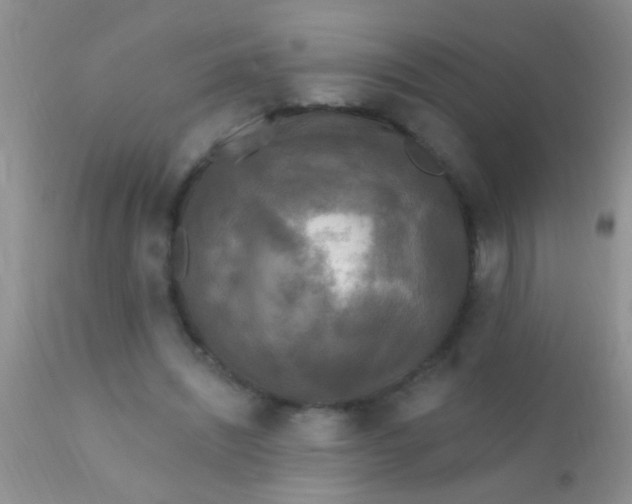 X0000110940444200907022137