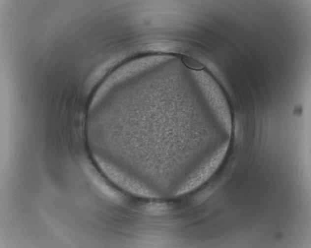 X0000110940445200907022137