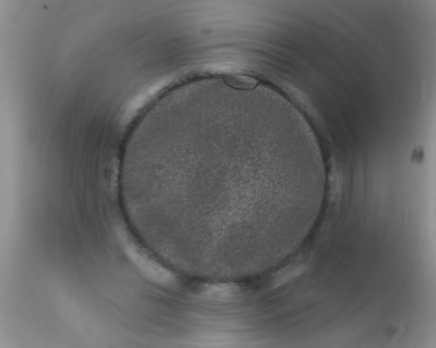 X0000110940446200907022137