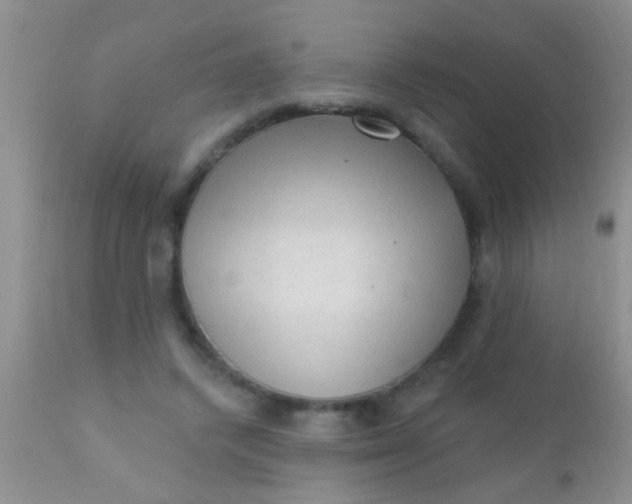 X0000110940448200907022137