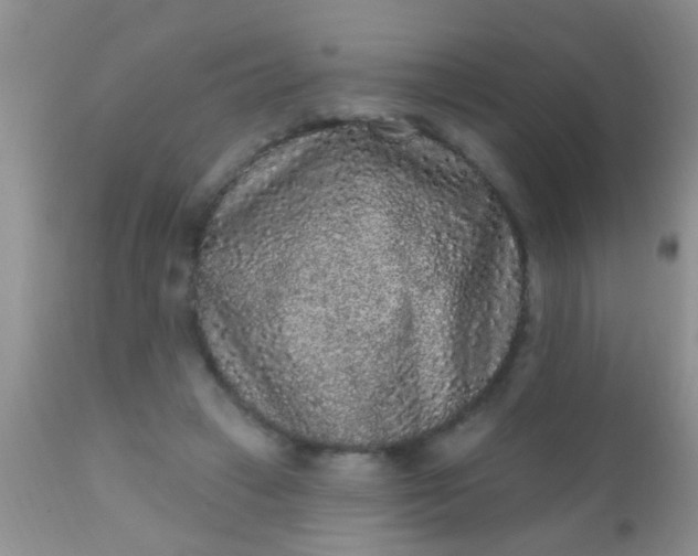 X0000110940449200907022137