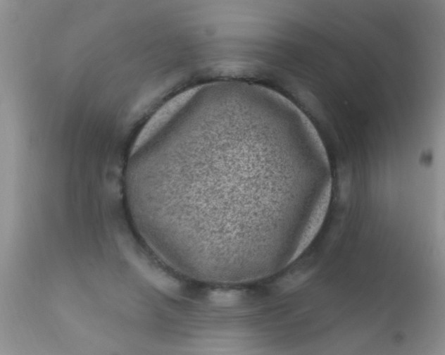 X0000110940450200907022137