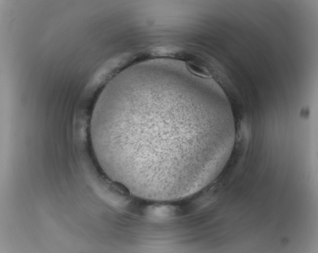 X0000110940452200907022137