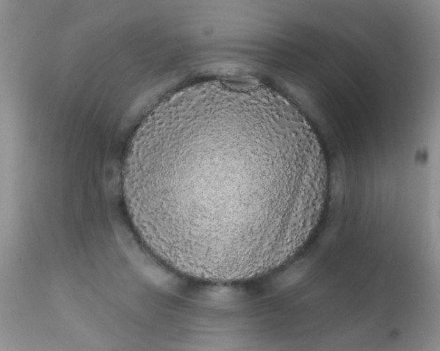 X0000110940453200907022137