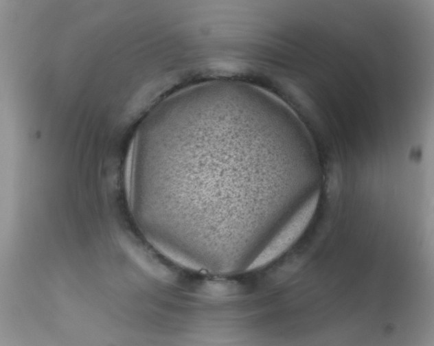 X0000110940455200907022137