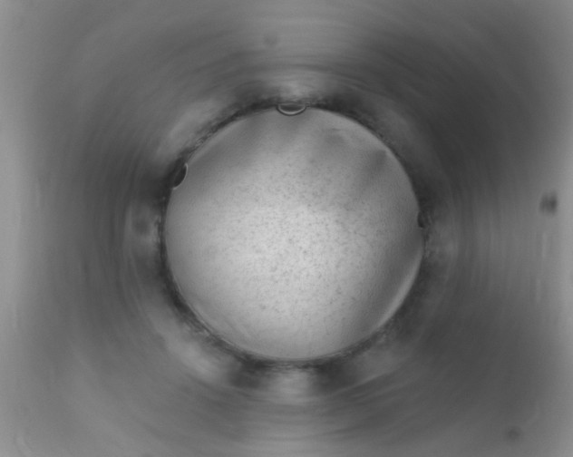 X0000110940456200907022137