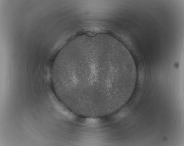 X0000110940457200907022137