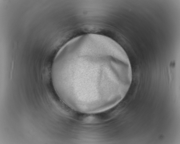 X0000110940460200907022137