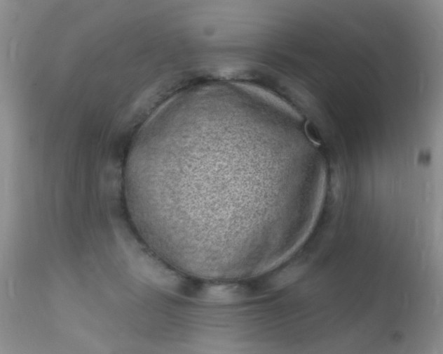 X0000110940461200907022137