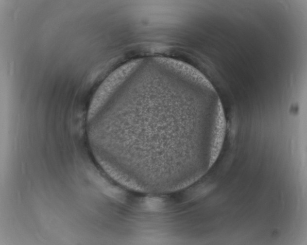 X0000110940462200907022137