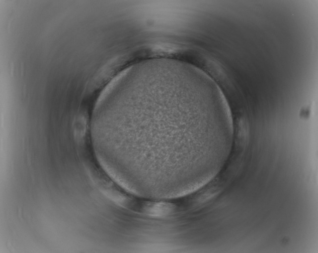 X0000110940463200907022137