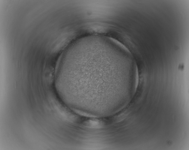 X0000110940464200907022137