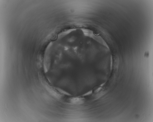 X0000110940465200907022137