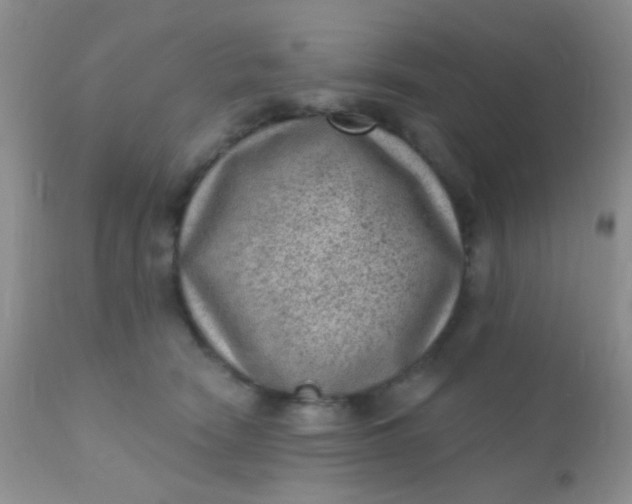 X0000110940466200907022137