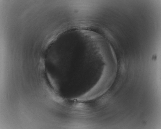 X0000110940467200907022137