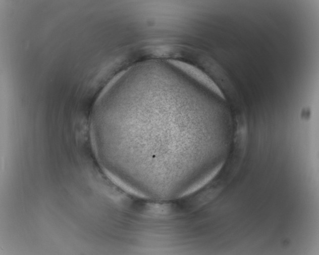 X0000110940469200907022137