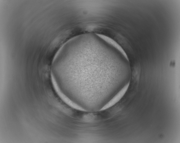 X0000110940470200907022137