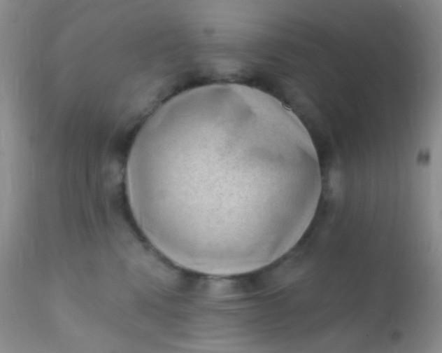 X0000110940472200907022137