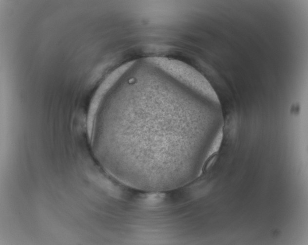 X0000110940474200907022137