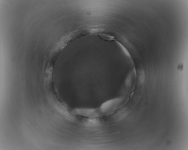 X0000110940475200907022137