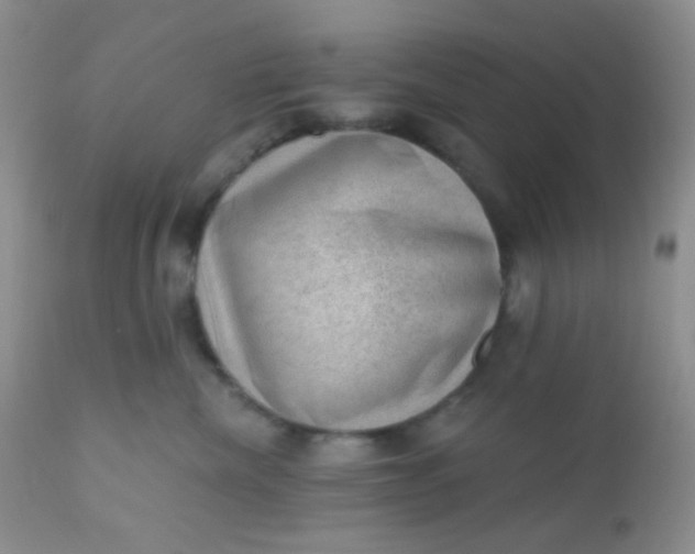 X0000110940476200907022137