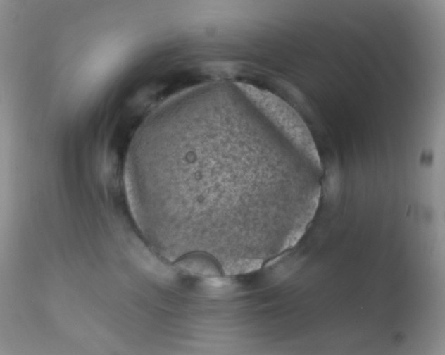 X0000110940477200907022137