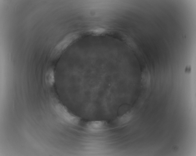 X0000110940479200907022137