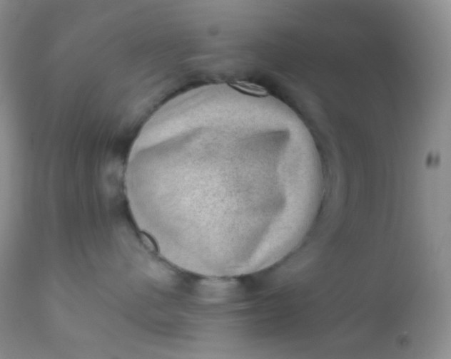 X0000110940480200907022137