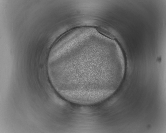 X0000110940481200907022136