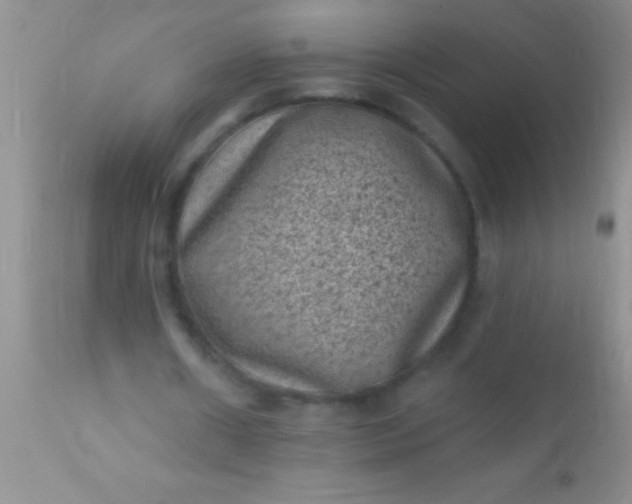 X0000110940482200907022136