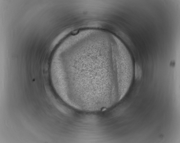 X0000110940483200907022136