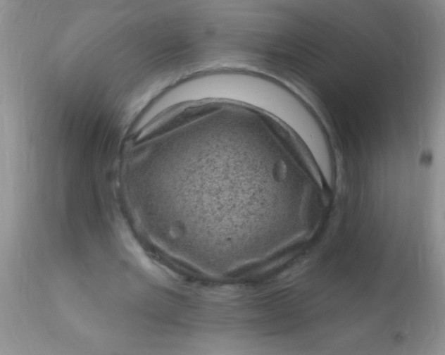 X0000110940485200907022136