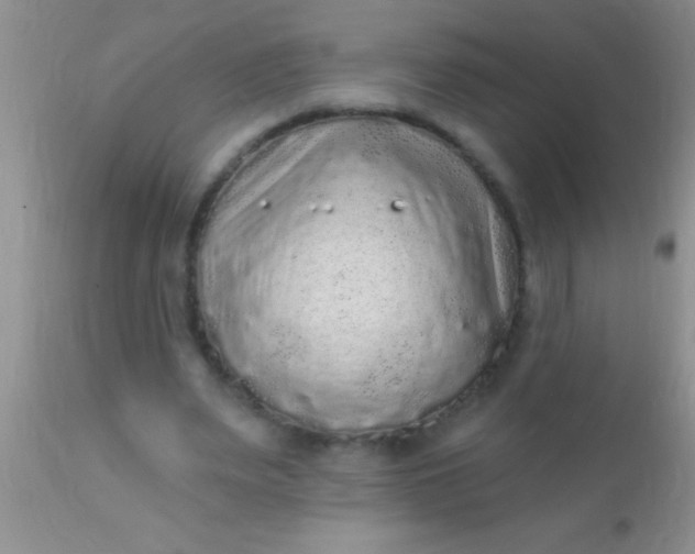 X0000110940487200907022136