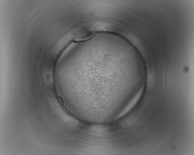 X0000110940489200907022136