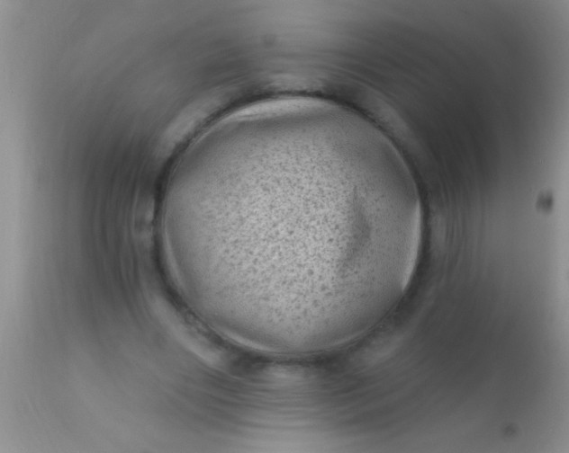 X0000110940490200907022136