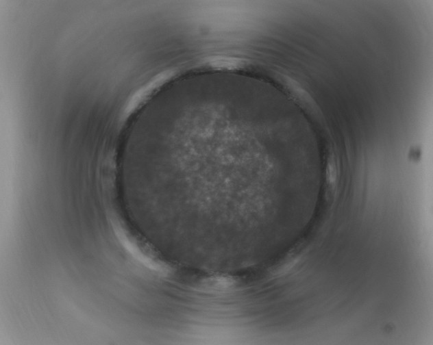 X0000110940492200907022136