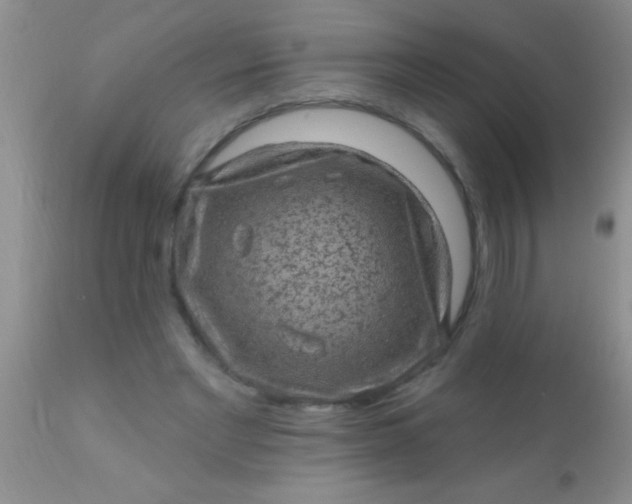 X0000110940493200907022136