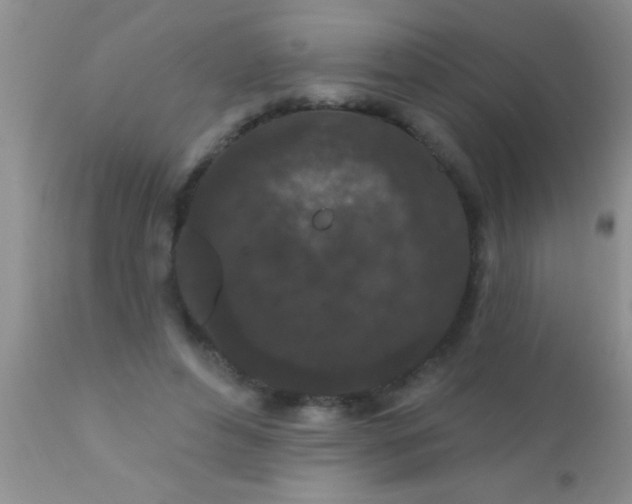 X0000110940496200907022136