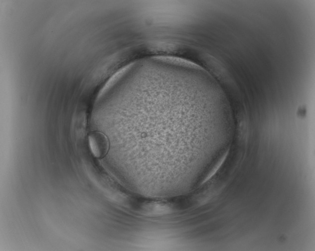 X0000110940498200907022136