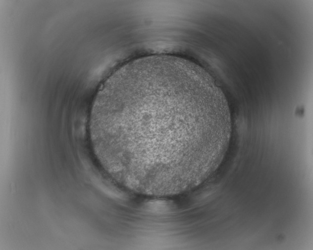 X0000110940499200907022136