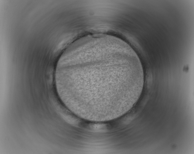 X0000110940501200907022136